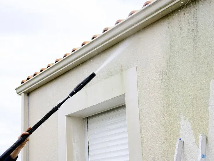 Je nettoie ma façade contre la pollution végétale